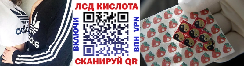 дарк нет официальный сайт  что такое   Трёхгорный  Марки NBOMe 1500мкг 